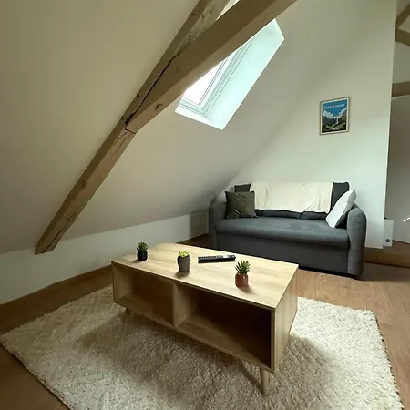 Au Nid Boise - 2 4 Pers - Centre Apartmán Orthez