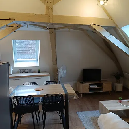 Au Nid Boise - 2 4 Pers - Centre Apartmán Orthez