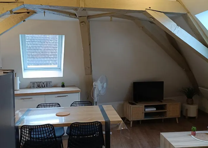 Au Nid Boisé - 2 4 Pers - Centre Appartamento Orthez