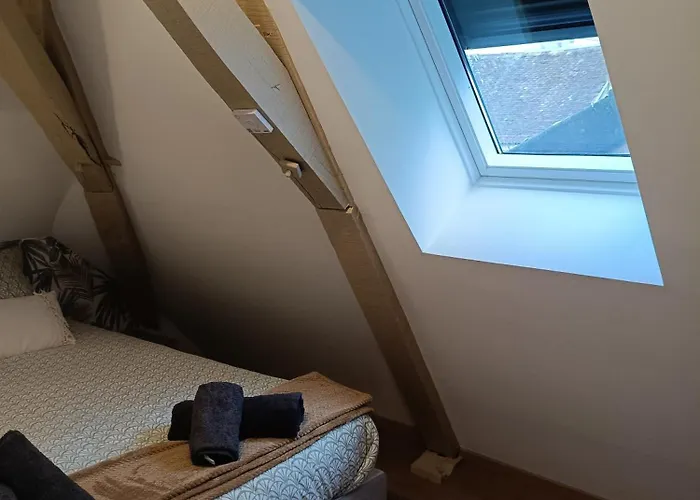 Au Nid Boisé - 2 4 Pers - Centre Appartamento Orthez